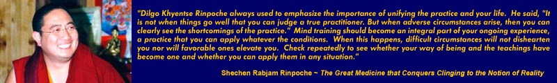 Rinpoche quote